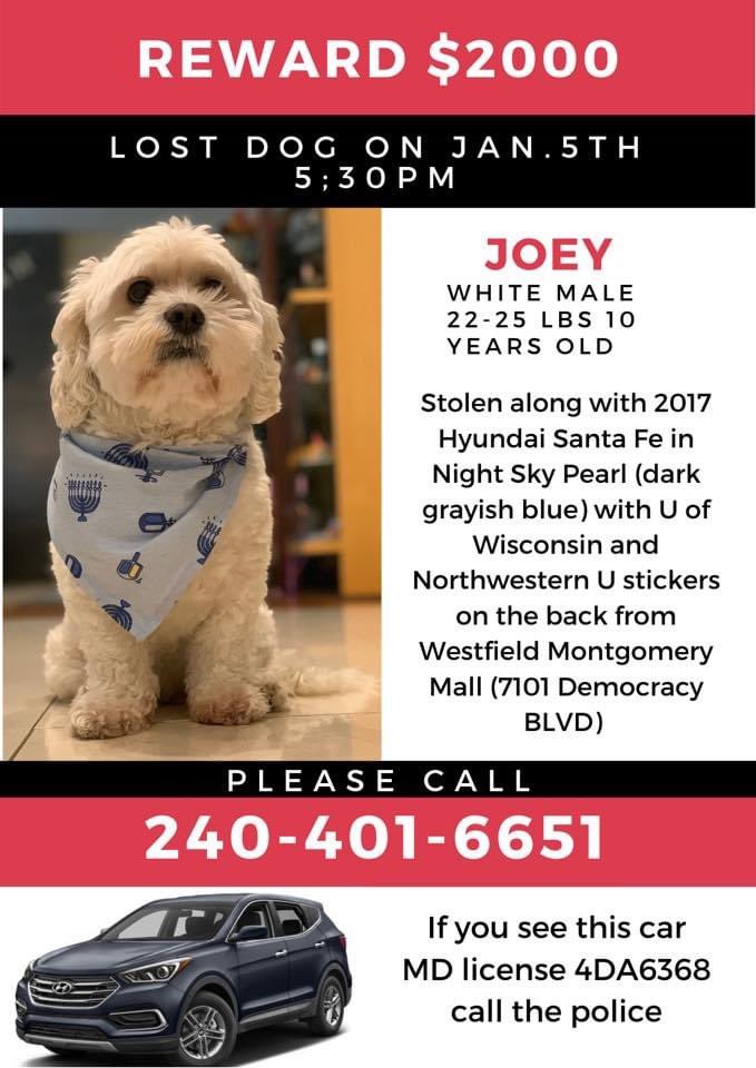 RandiBonTV's tweet photo. New flyer in the search to #FindJoey! https://t.co/aAzyd8k83F