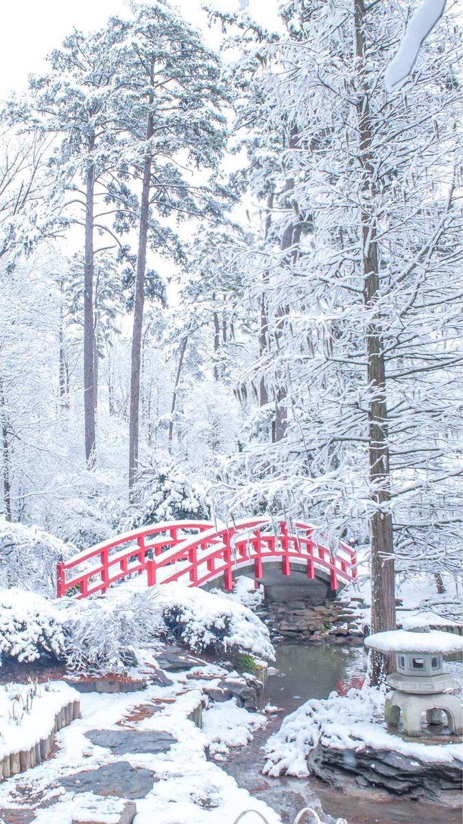 Wallpaper Wednesday — Winter Edition ❄️🧣