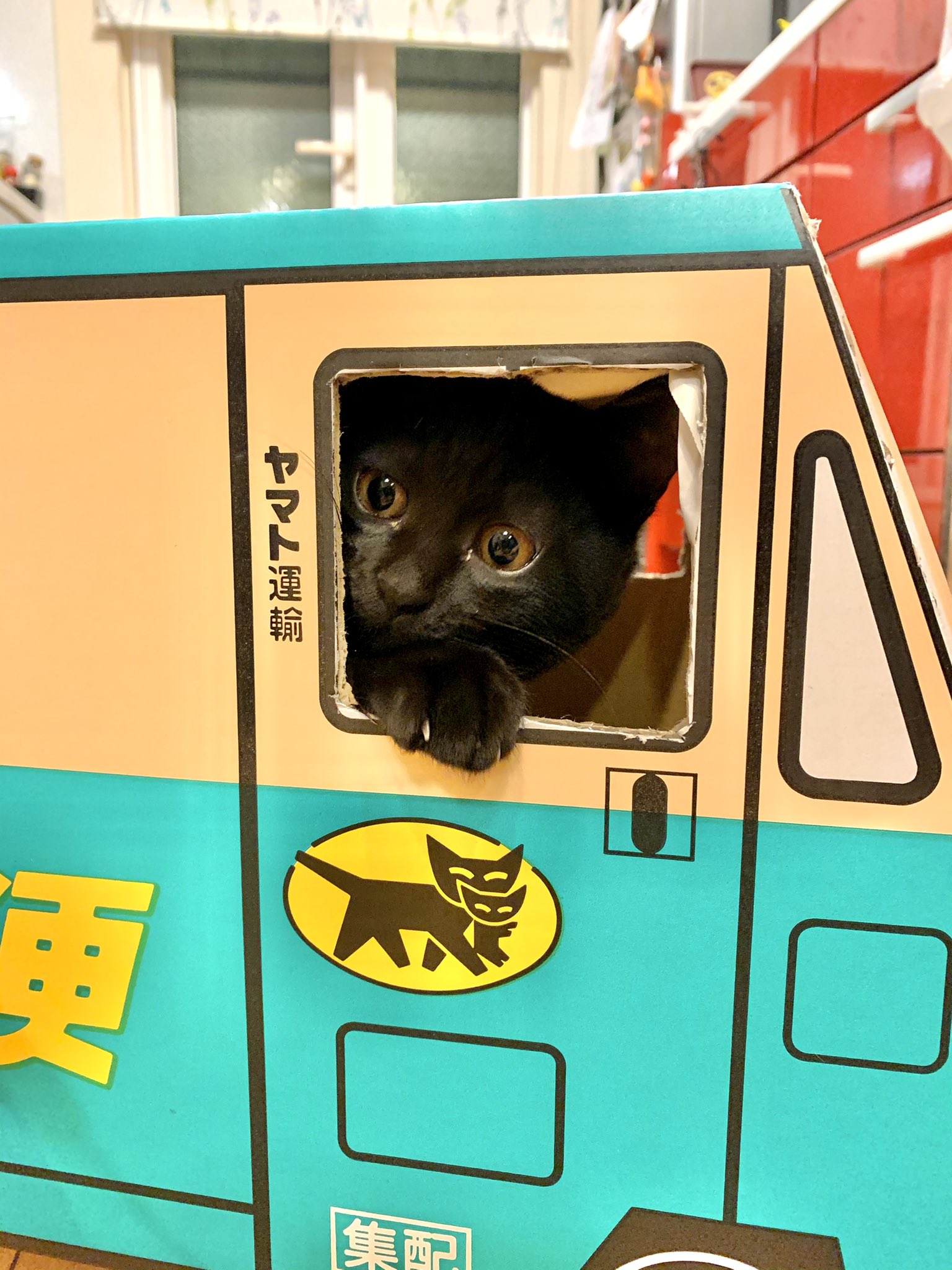 クロネコヤマトの段ボール Twitter Search Twitter