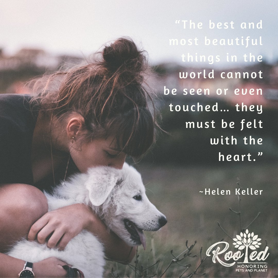 RootedPet tweet media