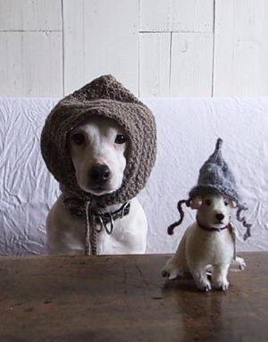 JohnDonoghue64's tweet photo. For the last time, you have to wear them because it’s cold outside... an no, ignore what the cat says, you don’t look silly in them... https://t.co/OlwwprziR7