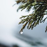 Photo by Walli (@walliapp)
