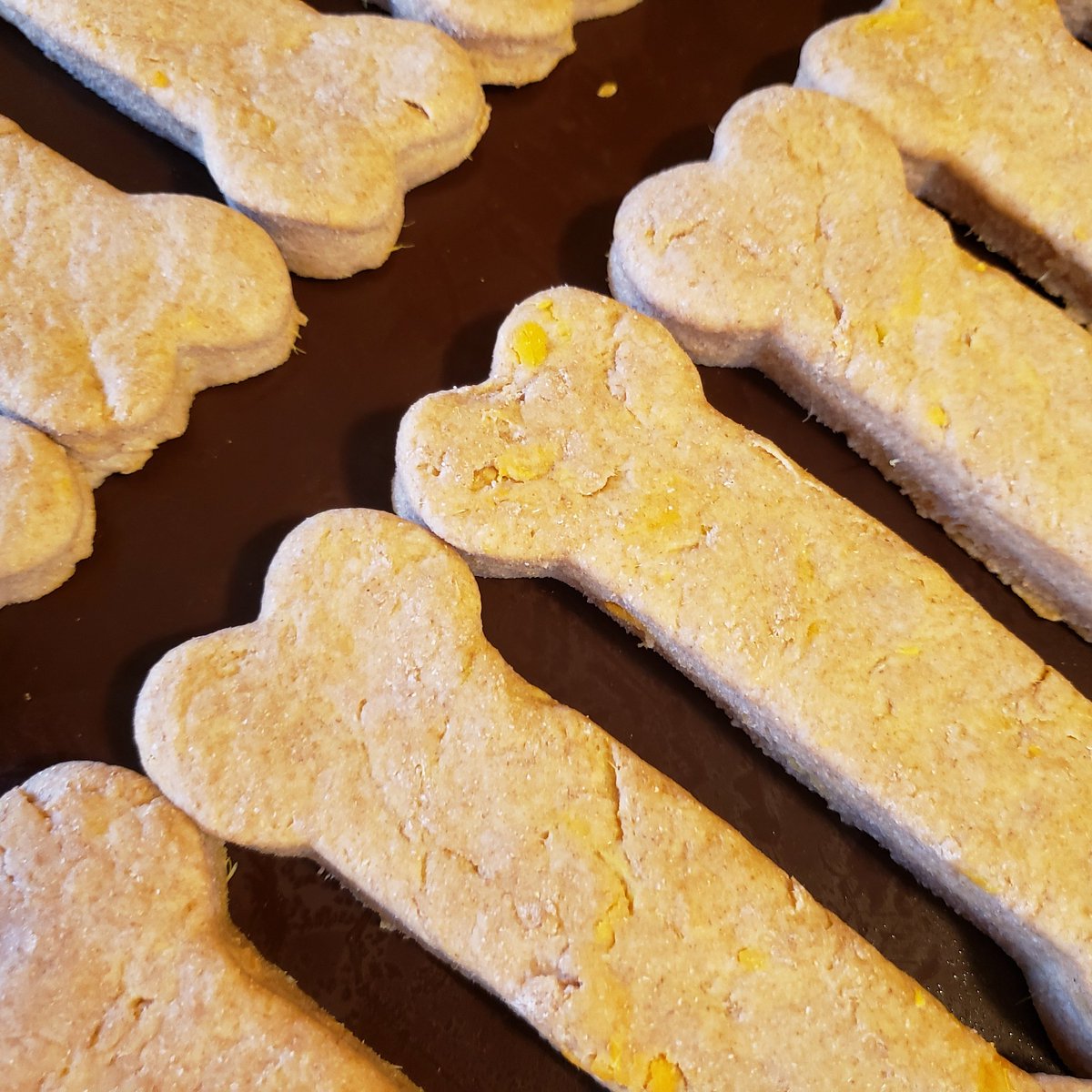 Mindy Abbruzzese tweet media