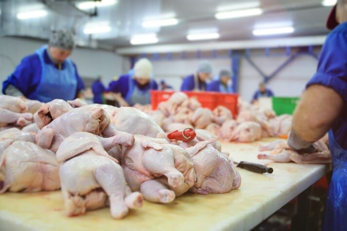 FAIRRInitiative's tweet photo. Foster Farms under pressure after multiple #COVID-19 cases lead to worker deaths at California plants.
Industrial #meatproducers are particularly exposed to workers’ health and safety risks because of the sector’s labour-intensive model.
https://t.co/5mukmlZxt8 https://t.co/3lrMV6TuUw