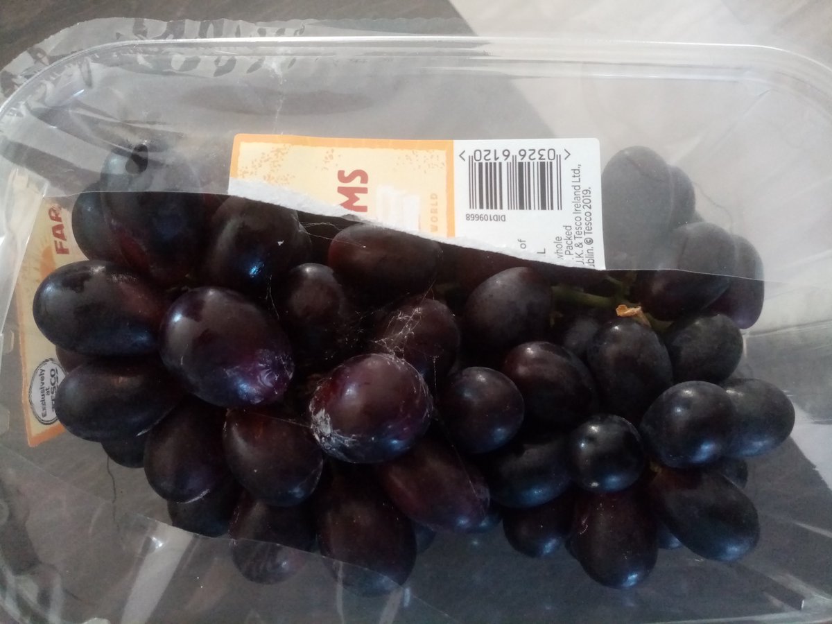 michelle townsend tweet media