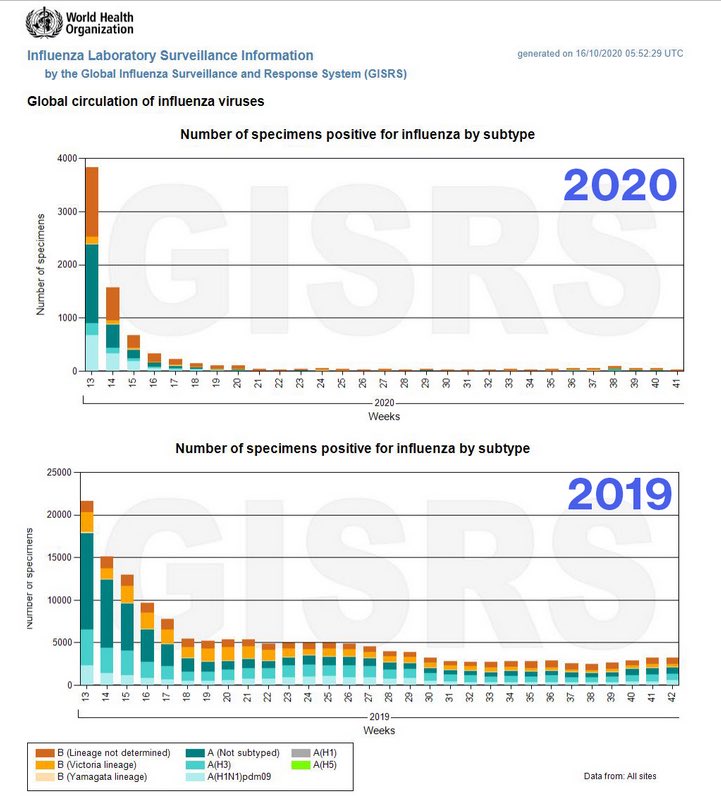 ezralevant's tweet photo. Apparently nobody got “the flu” in 2020. It was much more valuable to call it “COVID”. https://t.co/GPLlqPS3dV