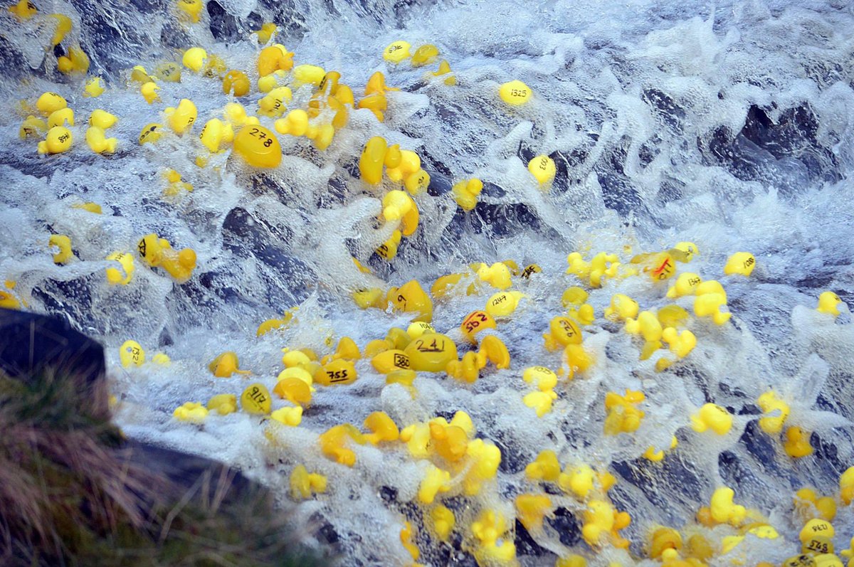 New Year’s Day duck race

A popular event in the Whitworth calendar, 1888 ducks took to the water at Cowm Res raising over £1K for the community. This year the race took on a virtual twist taking place in secret, filmed &amp; streamed on New Year’s Day. Watch: linktr.ee/rochdalestyle