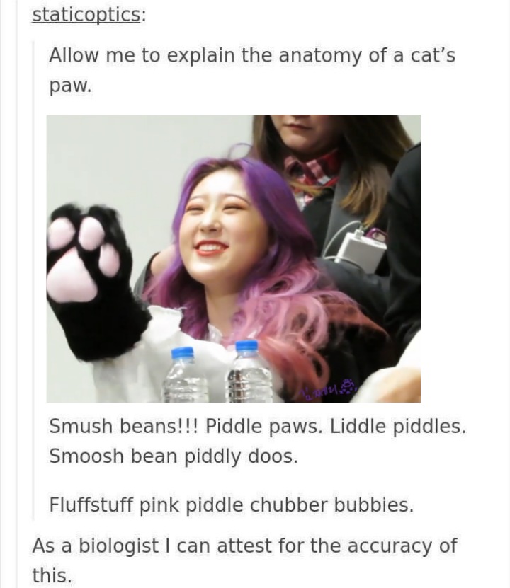 smush beans!!!