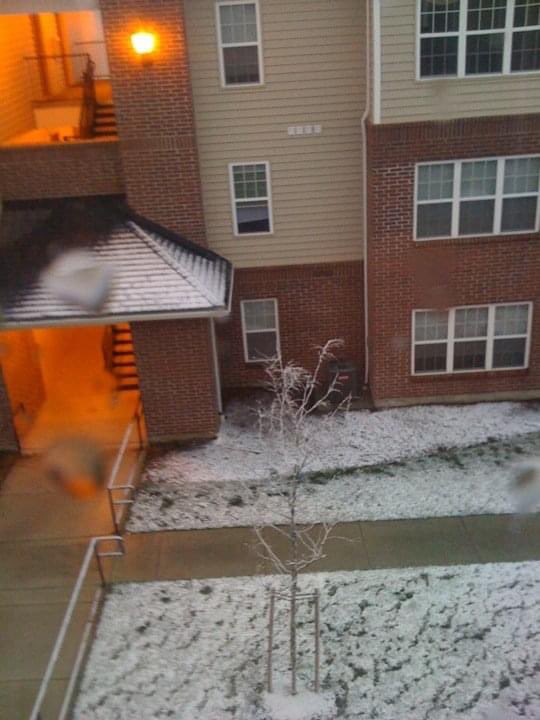 I worked so hard not only to get there, but to stay there. I didn’t have access to $$ aid/loans (bc my imm status) so I had to pay tuition out of pocket. And I wouldn’t even be able to practice law at the end? I called my mom from cold af Idaho, cried, told her I was quitting /2