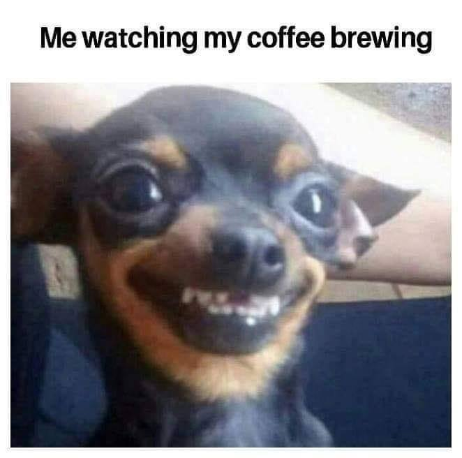 BrewriteFilter's tweet photo. Everyone loves a good cup of coffee #CoffeeLover #Coffee #betterwithafilter https://t.co/UK9IKEJJGS