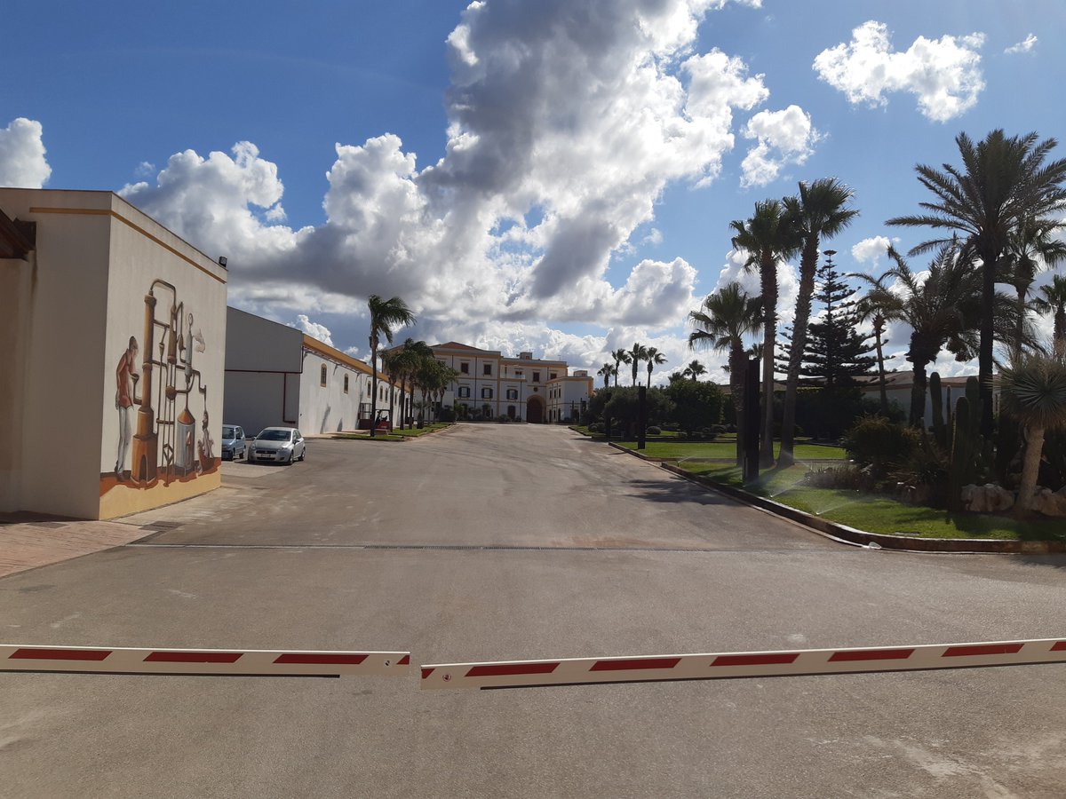 patriziamado's tweet photo. https://t.co/iW56Rd7mmW
My new article on Electrum Magazine:
Sicily: Cradle of Civilization and Wine Island
#wine #winehistory #sicily #greeks #marsala #siracusa #electrummagazine https://t.co/esAhh5Ggdc