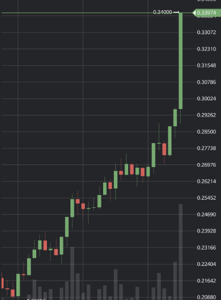 Jan(Cardano SPO) 🇸🇮 tweet media