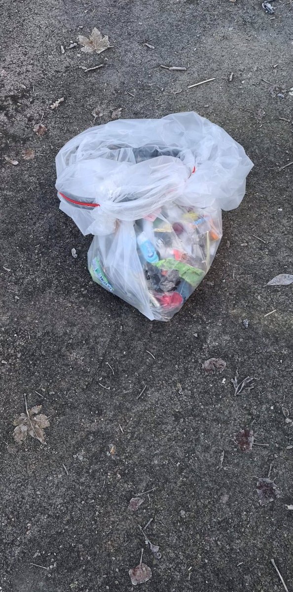 RT we pride ourselves in the work our volunteers do including litterpicking which we do separately during #lockdownuk but keeping the park clean & beautiful for all to enjoy @MikeBrown_LSSL @lpoolcouncil @DPH_MAshton @hphpcentral @nwparksforum @ParksCommUK