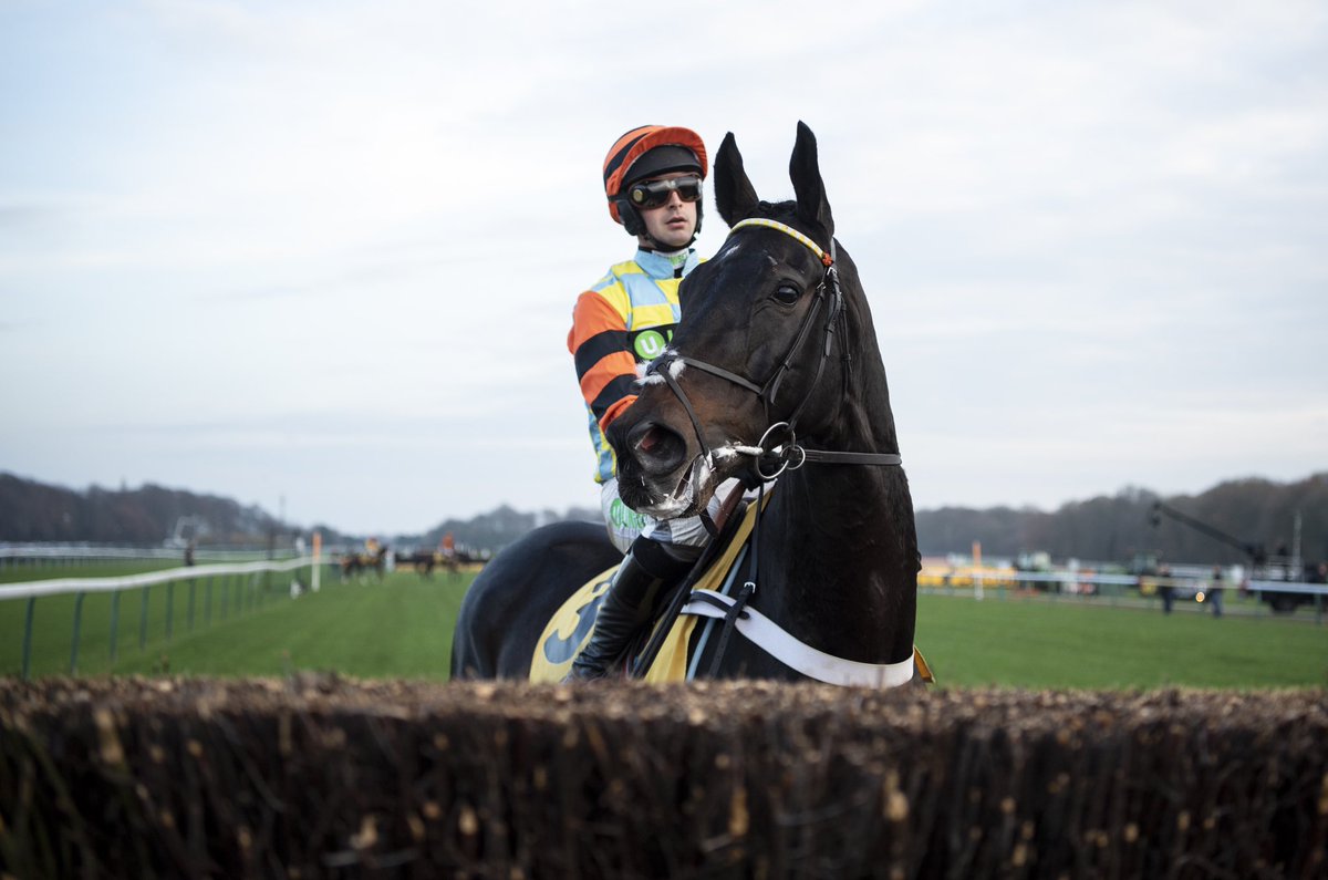 RacingPost's tweet photo. BREAKING: Nicky Henderson confirms the retirement of Might Bite 👏 https://t.co/GVfodBQTZ0