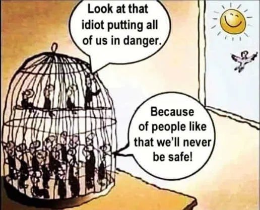 Dr. Daniel tweet media