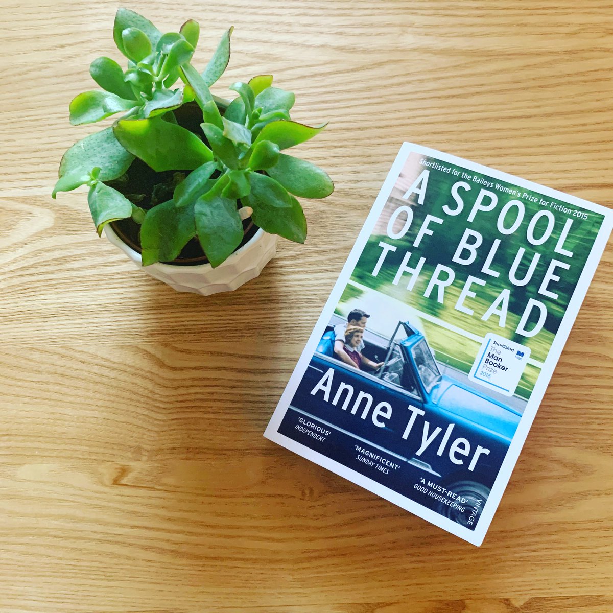 LisMillington's tweet photo. “Clara had a face that was pleasant but distracted, as if she were wondering whether she’d left a burner on at home”. One of my favourite lines in this multigenerational novel by Anne Tyler. #justread #annetyler #aspoolofbluethread #justfinishedreading https://t.co/3hvuMlJ1Lo