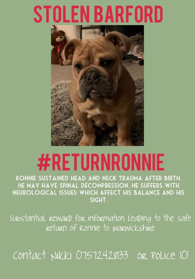 MissingPetsGB's tweet photo. This post by @NikkiAnne8 is absolutely 💔 
Ronnie's shares are dropping- he is an urgent dog with medical needs, has a lot of love waiting for him at home. Please please RT and contact with any info no matter how small.
Last seen 19th Dec, Barford Hill https://t.co/m9jLfkMYWe