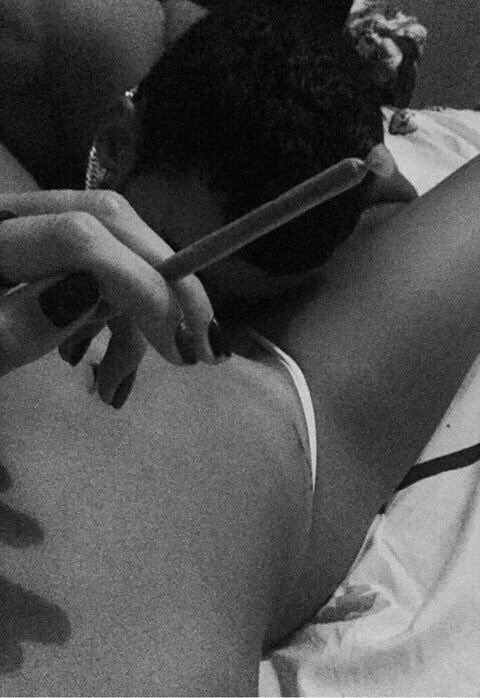 SexFlix tweet media