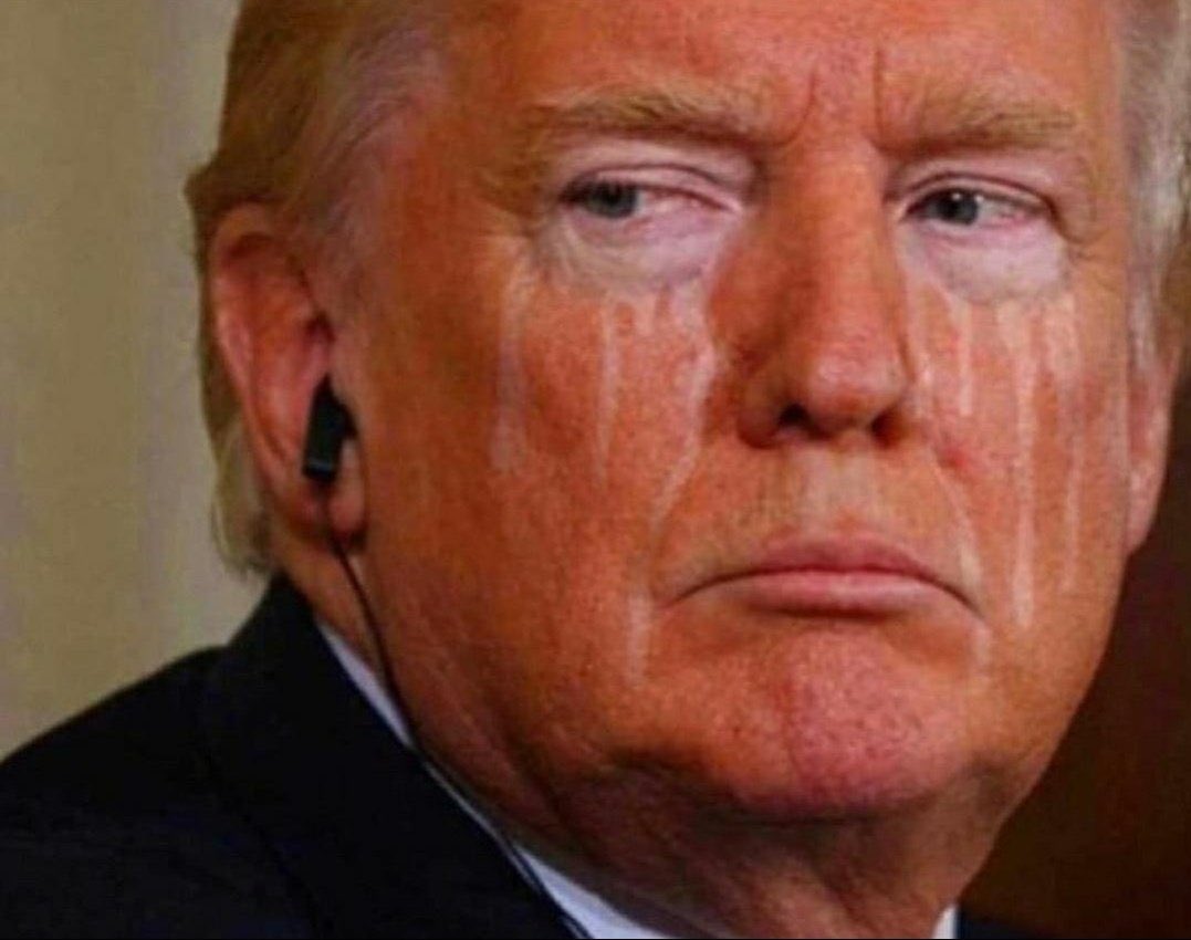 redheadedskunk's tweet photo. I don’t know what’s better...seeing him lose the election or seeing him lose more and more every day since. #loser https://t.co/ZUl9IuW91q