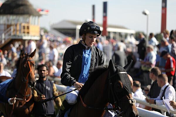 Our Gr.3 winner Streamline returns to the track tonight in the 6.45 race at Kempton with Adam Kirby on board, trained by Clive Cox. Good luck to all connections. 🤞🤞🤞 #clivecoxracing #group3winner #duediligence <a href="/WhitsburyManor/">Whitsbury Manor Stud</a>