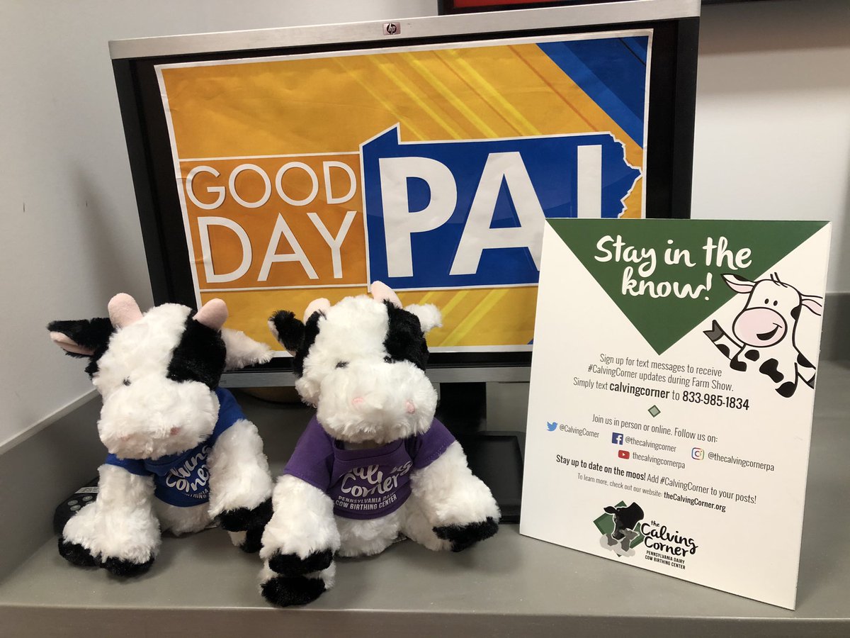 GnazzoPromotion's tweet photo. Coming up on @GoodDayPA @abc27News at 10AM TODAY... All of the details you need to know about this year’s @CalvingCorner and how you can witness the birth of a cute baby calf and other fun farm and #dairy activities! @padairymens @AmericanDairyNE
#CalvingCorner #DestinationDairy https://t.co/Az0NmcSV3A