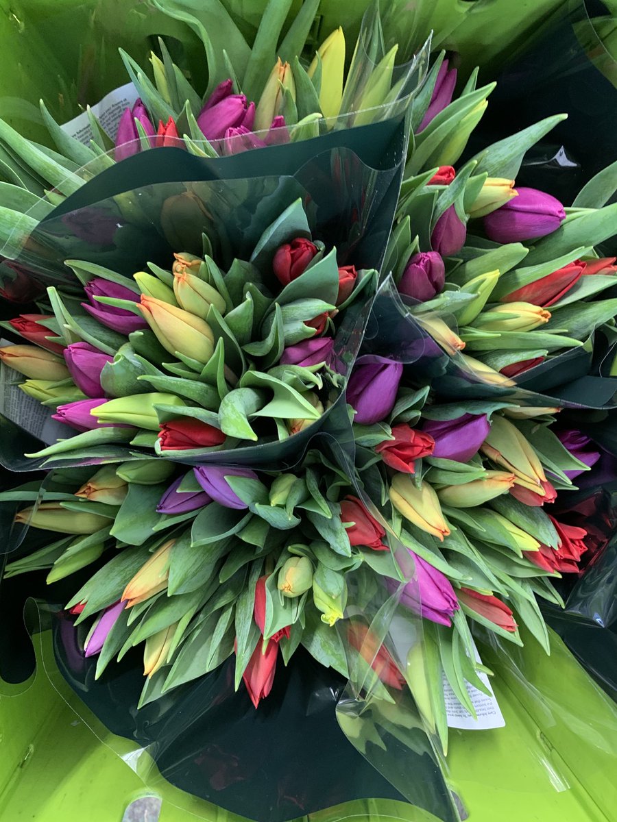 Beautiful mixture for Waitrose Harlequin at a store near you # lovebritishflowers