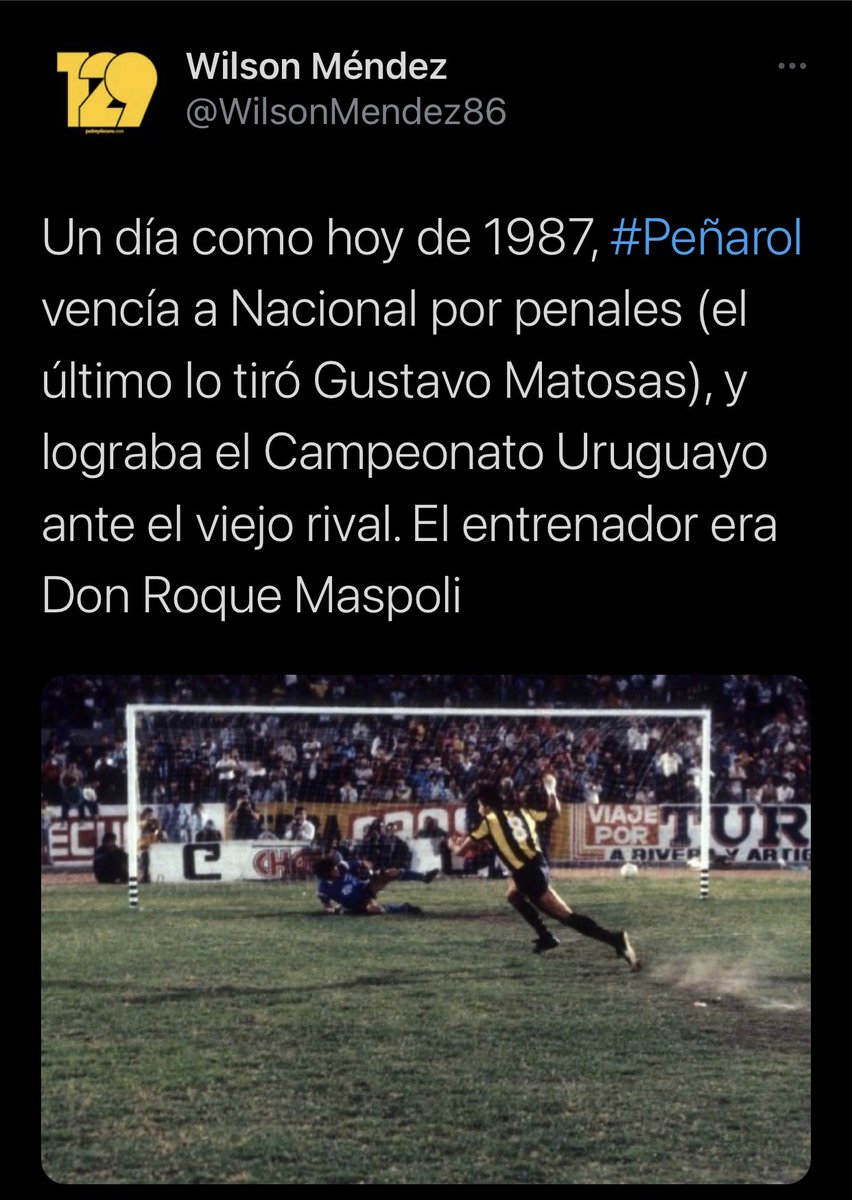 Gustavo Matosas tweet media