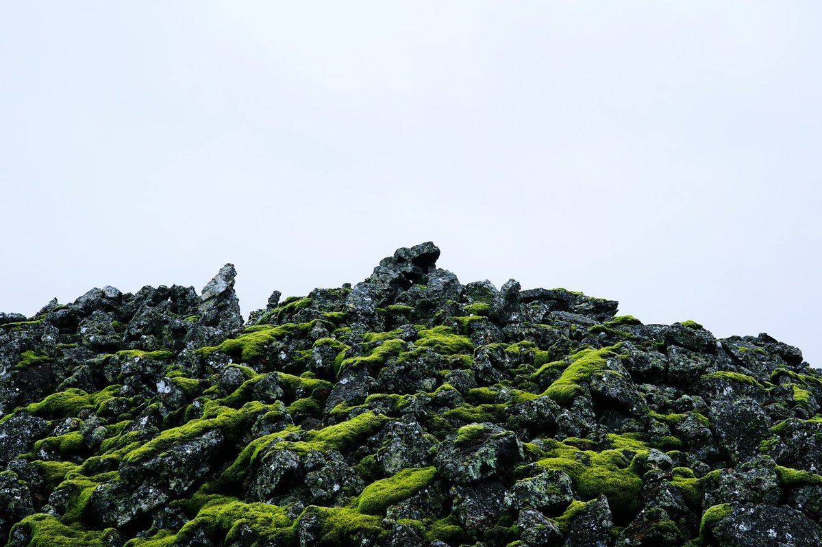 byroberteklund's tweet photo. #byroberteklund #photography #SonyA7III #sonyalpha #sonyalphaphotography #sonyalphaphotos #roberteklund #grindavik #iceland #volcanic #volcaniclandscape #lavalandscape #landscape #view #moss #nature #naturephotography #naturephoto #wanderlust #travel #travelphotography #nofilter https://t.co/Nuoy4DfJLX