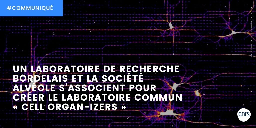 CNRS Aquitaine tweet media