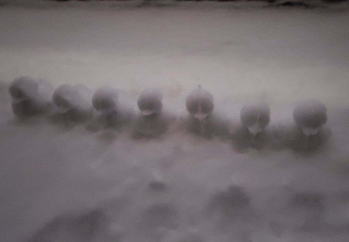 taebokkiii's tweet photo. Namjoon waited a year to make a snow ducks??? 😭😭😭 https://t.co/mO1xOxXke0