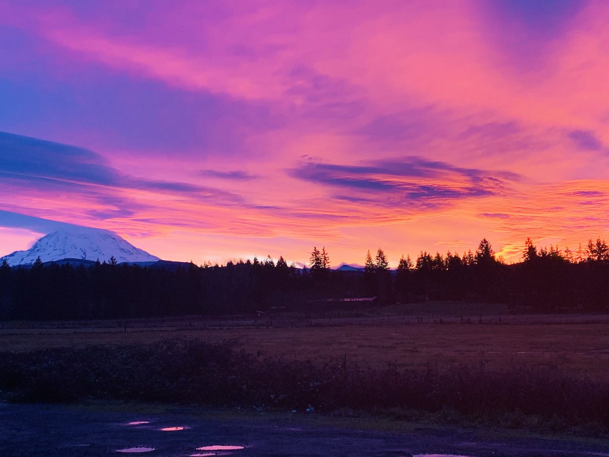 BahrKrestin's tweet photo. ⁦@EatonvilleSD⁩ ⁦@wasa_oly⁩ ⁦@AASAHQ⁩ hope arises for our students as we plan for 2021 to be #forallchildren #postpictures of nature as a reminder that #Wewillreturn #equity matters https://t.co/KSkpu1lAPE