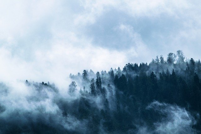 TheWeatherEgg's tweet photo. What's the Difference Between Fog and Clouds? 

#fog #clouds #nature #cloud #cloudy #cloudporn #horizon #skies https://t.co/NmXVE9LtmZ https://t.co/G6PXzOH9dm