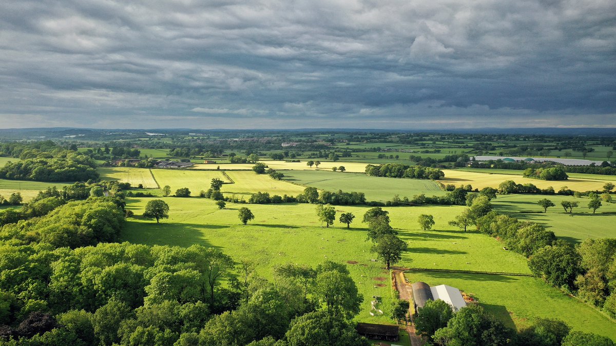 Barenbrug UK tweet media