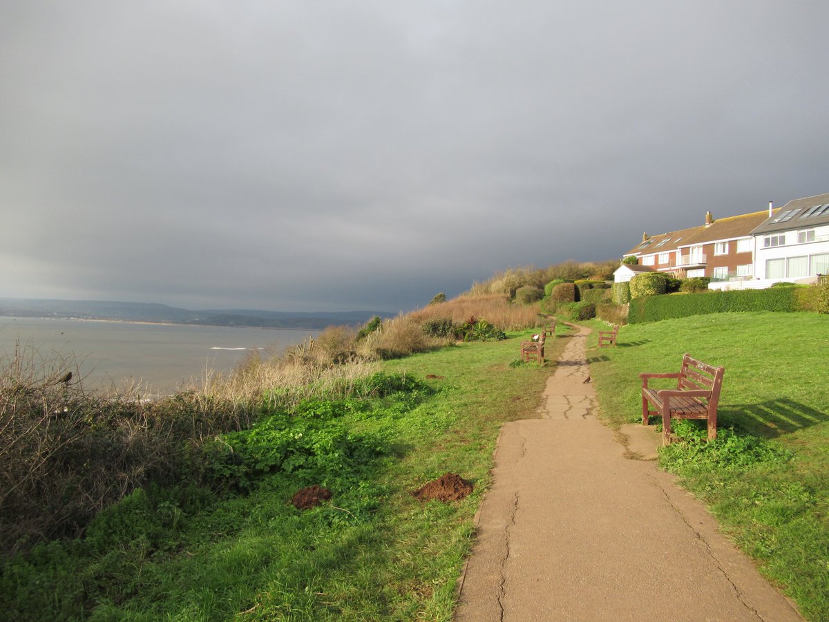 LEveleigh's tweet photo. @Natures_Voice #Blackbird @Britnatureguide @ExmouthNubNews @exmouthjournal @exmouthguide @BBCSpotlight @itvwestcountry #OrcombePoint #Exmouth #Devon #birds #BirdsSeenin2021 I spotted two black birds, in the Orcombe Point area of Exmouth, along the SW Cliff footpath this morning. https://t.co/I1EgQmrzQE