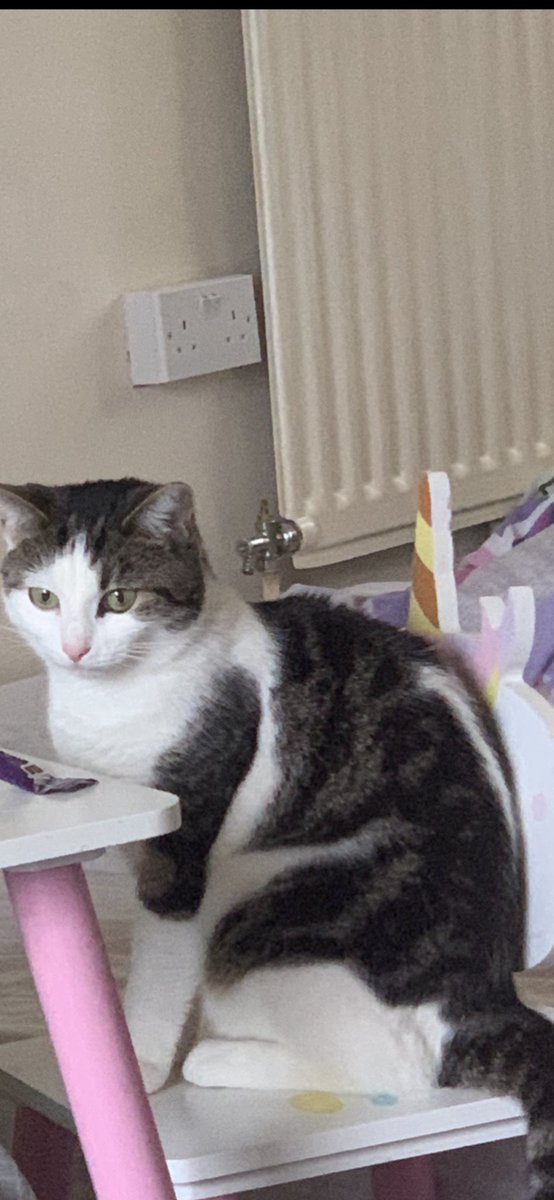 Rickie Griffith tweet media