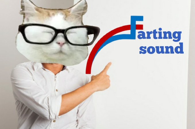 catturd2's tweet image. 