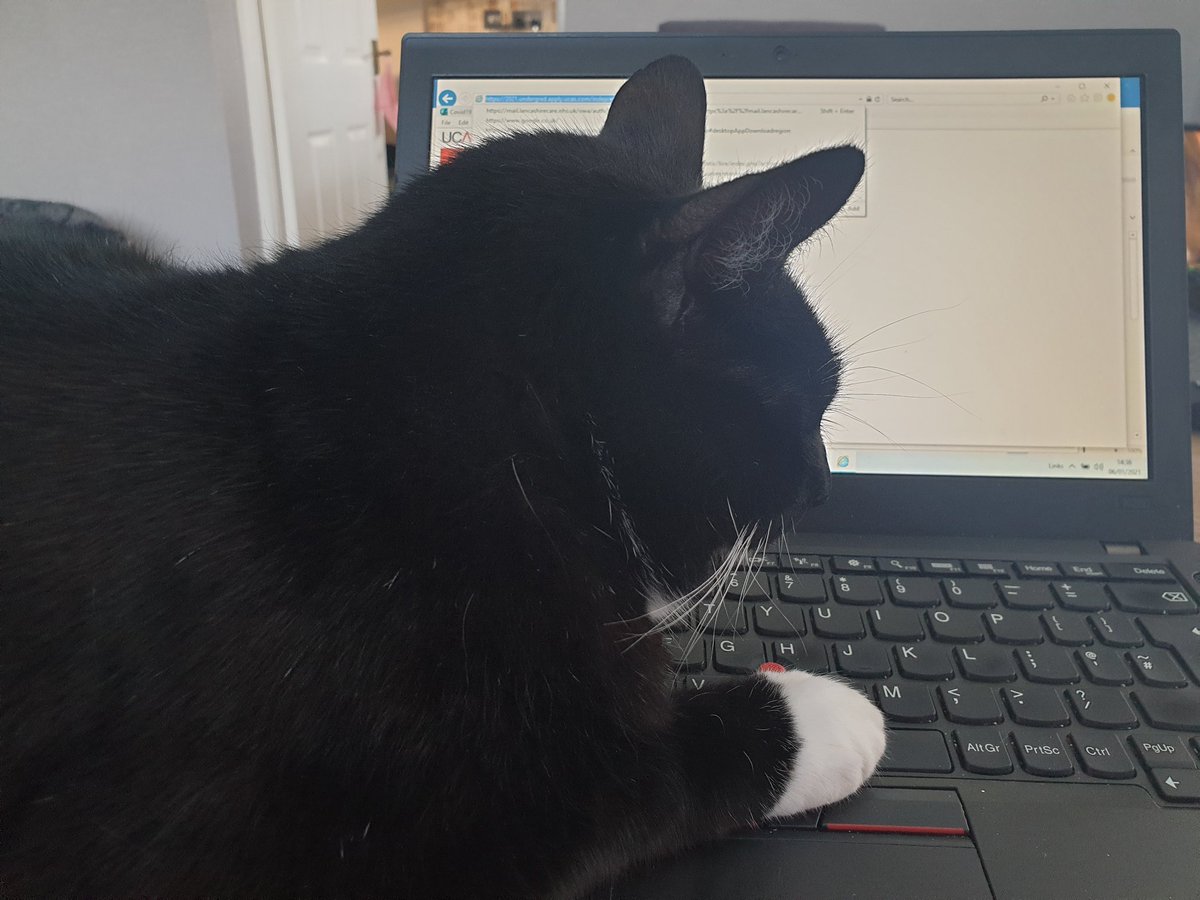 Janet Pennington (@penningjanet) on Twitter photo When the cat thinks he knows best #MentalHealthMatters <a href="/KathMJ2016/">Katherine (Kath) Jones</a> <a href="/wendyheckels/">Wendy Heckels</a> <a href="/carmelj10/">Carmel Jones #ProtectNurse</a> <a href="/WeAreLSCFT/">Lancashire & South Cumbria NHS Foundation Trust</a>#lockdownwednesday2021 When the cat thinks he knows best #MentalHealthMatters <a href="/KathMJ2016/">Katherine (Kath) Jones</a> <a href="/wendyheckels/">Wendy Heckels</a> <a href="/carmelj10/">Carmel Jones #ProtectNurse</a> <a href="/WeAreLSCFT/">Lancashire & South Cumbria NHS Foundation Trust</a>#lockdownwednesday2021