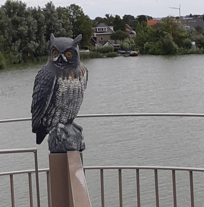 Naescas1's tweet photo. Geweldig geworden......#papeneiland.....met uitkijktoren !!! https://t.co/JeWtA5VdvM