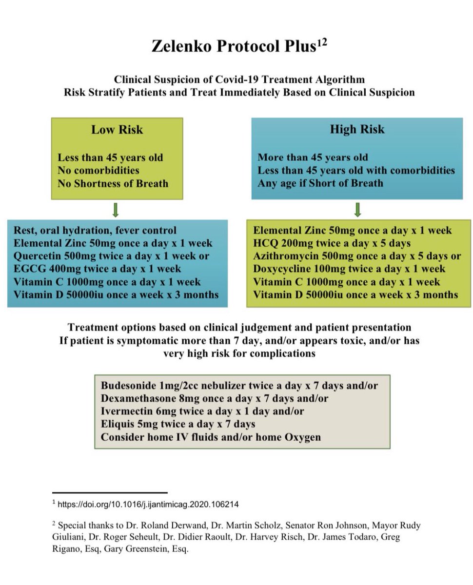THE ZELENCO POROTOCOL PLUS ARE USED BY DOCTORS TO EFFECTIVELY TREAT COVID WITH HYDROXYCHLOROQUINE AND IVERMECTIN we
