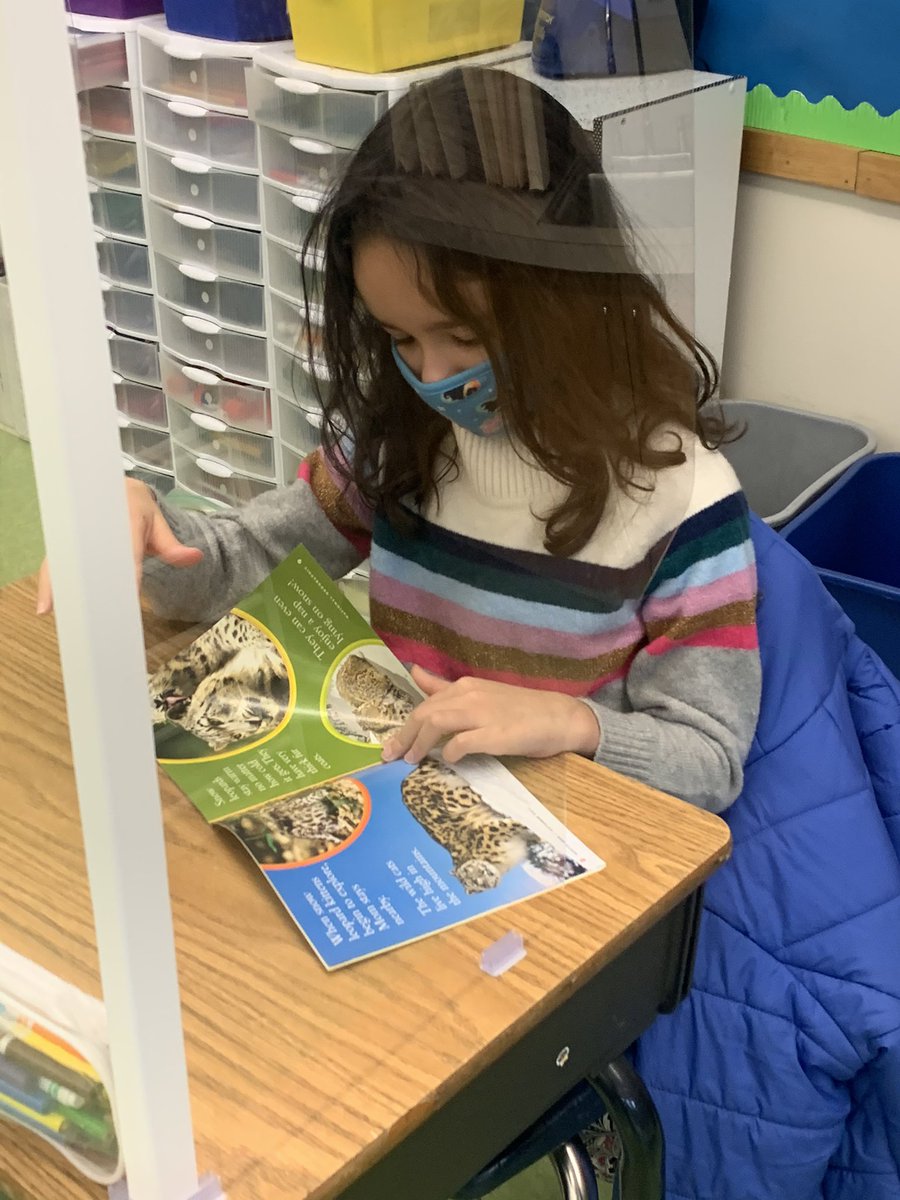 Angela Doerr tweet media