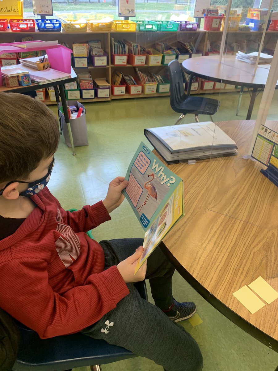 Angela Doerr tweet media