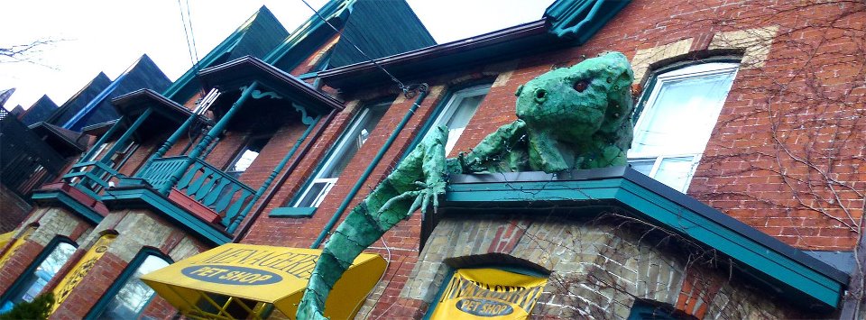 Menagerie Pet Shop tweet media