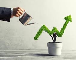 BuildersNote's tweet image. With our standard designs in Specialist disability Accommodation, long term tenants, and finance partners, Green Note is able to help you gain above market returns from your next property project. Contact us today

#property #realestate #propertyinvestment #propertydevelopment