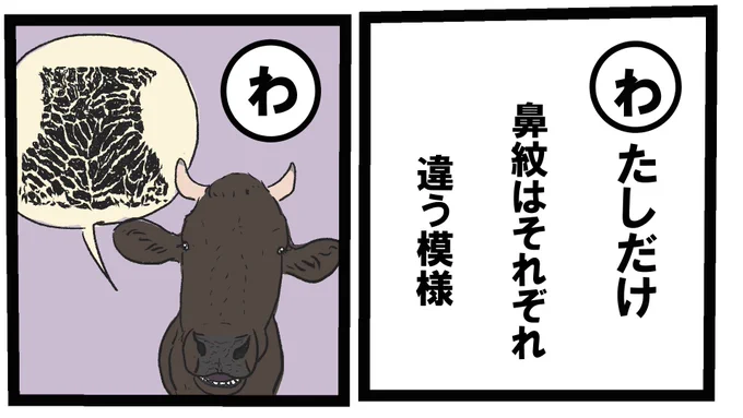 牛カルタ『わ』牛の鼻にあるシワは人で言う指紋のように一頭一頭、模様が違います。和牛の場合、この鼻紋を取って、和牛である証明書に(登記書)貼り付けます。#牛カルタ #牛イラスト #牛 