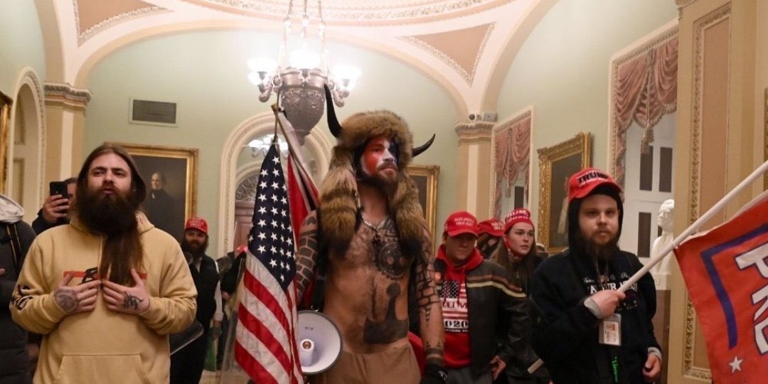 This all you need to overthrow democracy.  #MarchForTrump. Face paint and too much facial hair.