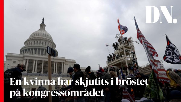 dagensnyheter's tweet photo. En kvinna har skjutits i bröstet på kongressområdet och befinner sig i allvarligt tillstånd, enligt CNN.
https://t.co/84JxhzFOct https://t.co/BX5W5ZZA6j