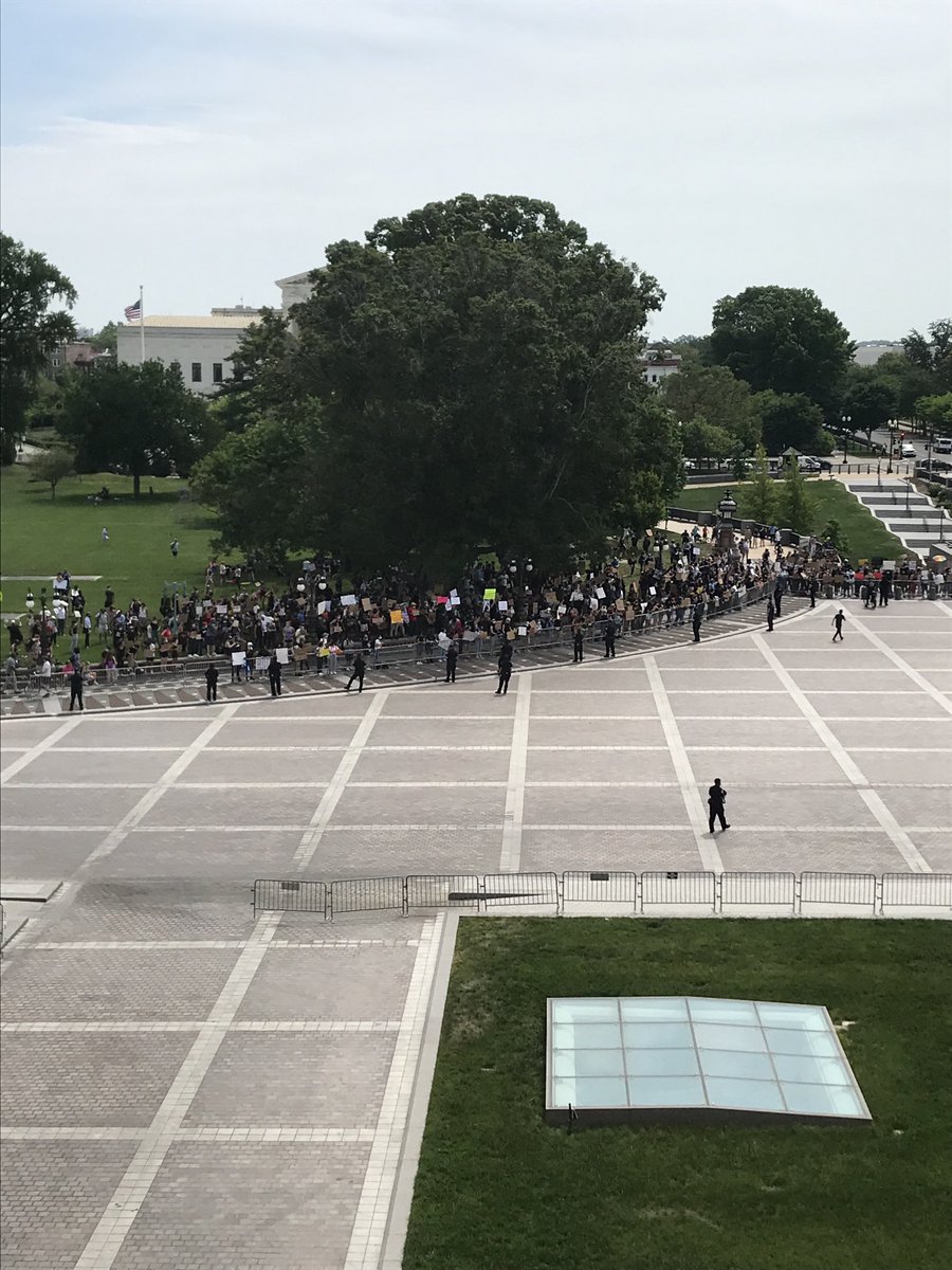 Burgess Everett tweet media