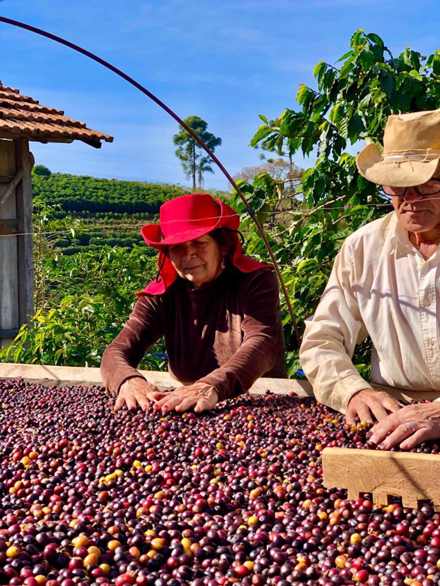 Minasespresso's tweet photo. Specialty coffee from farm to cup ❤️☕️ https://t.co/wUByUi23uK