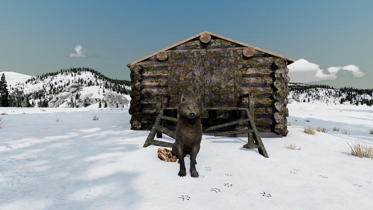 wolfiex11's tweet photo. Cupid and North. #wolfquest #wolfquestae @WolfQuestGame https://t.co/yXT824Y1u0