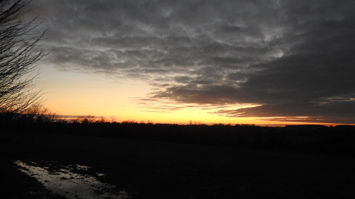numenini's tweet photo. Wickhambrook, a muddy part of the world on those clays, difficult to stride out on.

The buds of the Ash still tight shut as night fell, tranquil and chill. 

#sunset #Wickhambrook #WestSuffolk #Suffolk 

6/6 https://t.co/wh2TqKxxYB